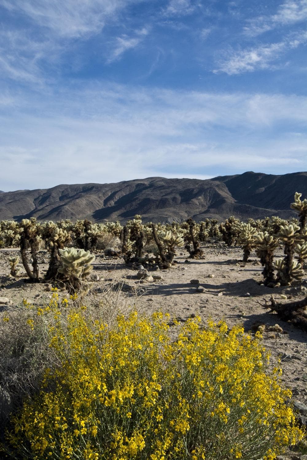 From the parking lot