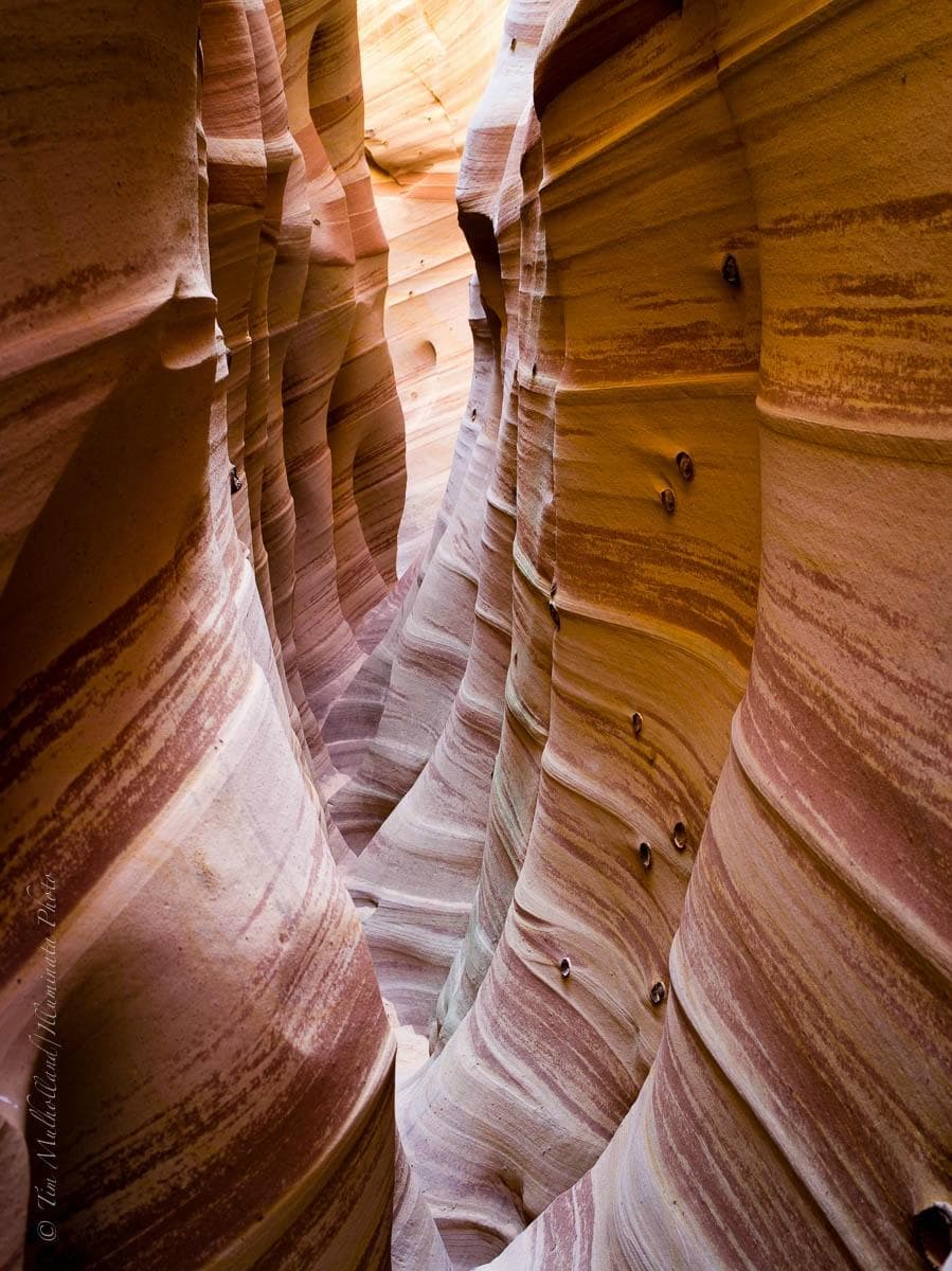 Zebra Slot Canyon, Harris Wash, near Escalante, Utah
