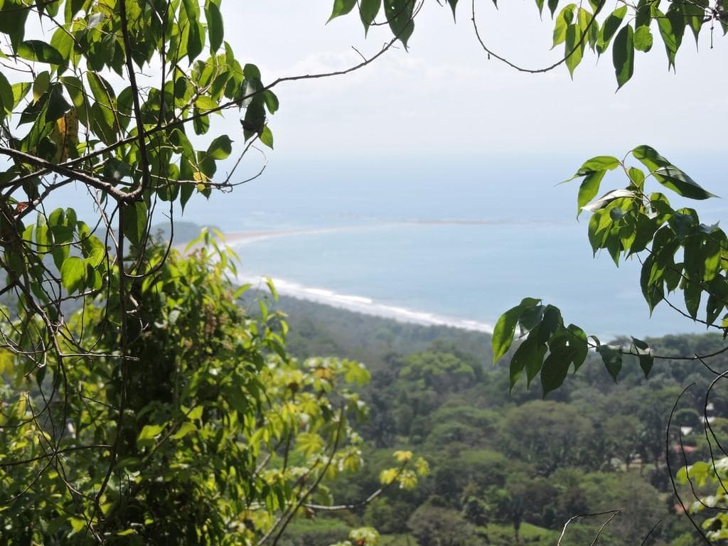 The beautiful out-look on the whale's tail.