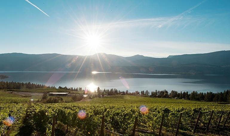 A view from 50th Parallel Estate in Carr's Landing B.C.