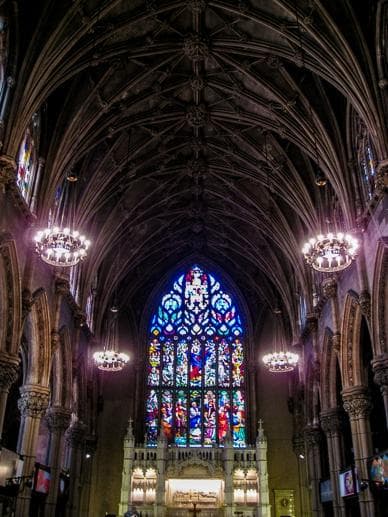 Stained Splendor