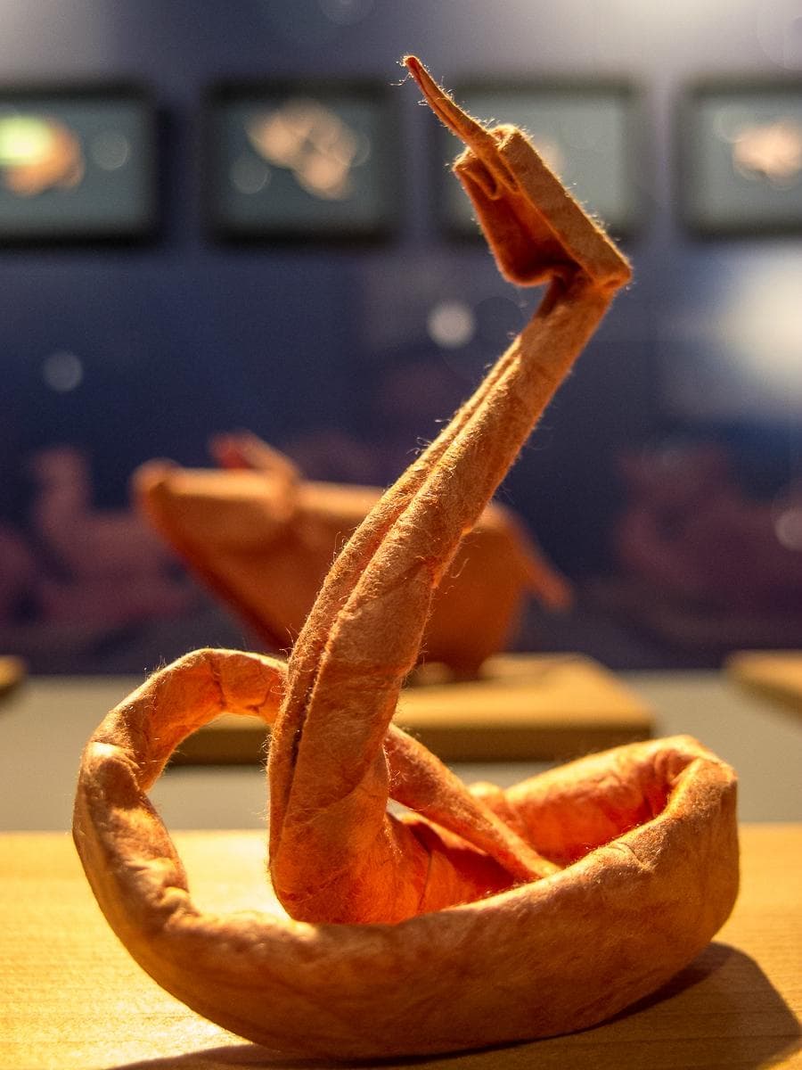 Emoz Escuela Museo Origami Zaragoza