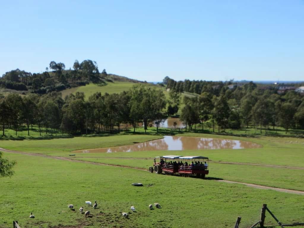 Tractor ride
