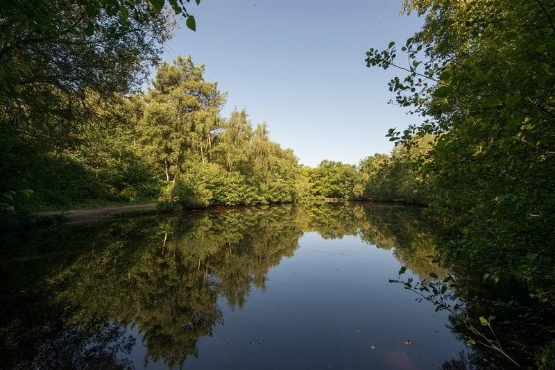 Forêt de Paimpont - Miroir aux fées - Michel Jamoneau