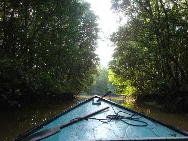 Mangrove Center Graha indah