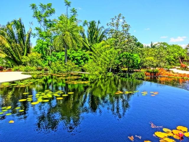 Incredibly gorgeous scenes throughout the Gardens