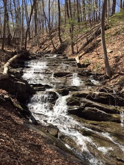 Picture of the Falls