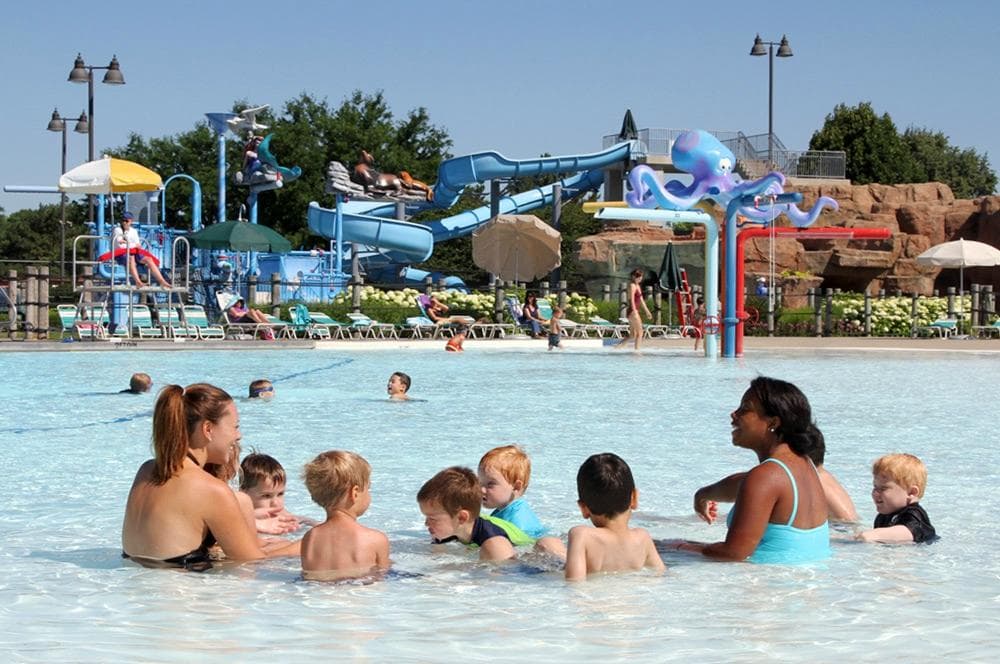 Sea Lion Aquatic Park