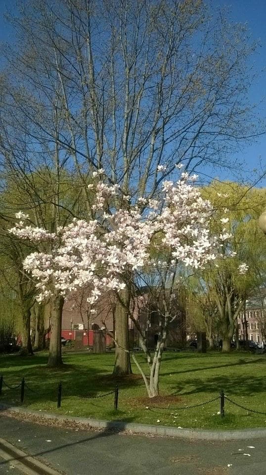 Early spring.