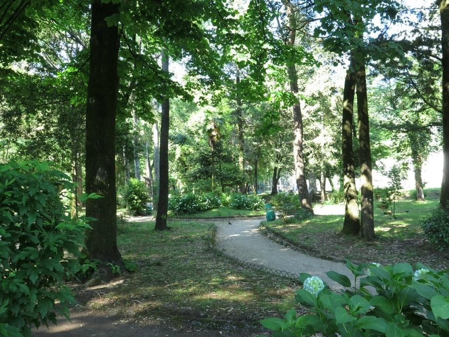 Городской парк