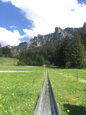 Sommerrodelbahn