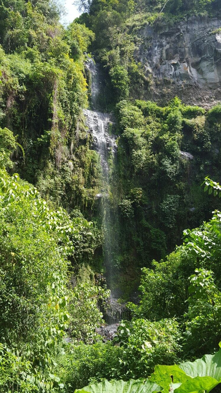 Beautiful hike and we spotted a male Resplendent Quetzal (we used John at Boquete Outdoor Advent