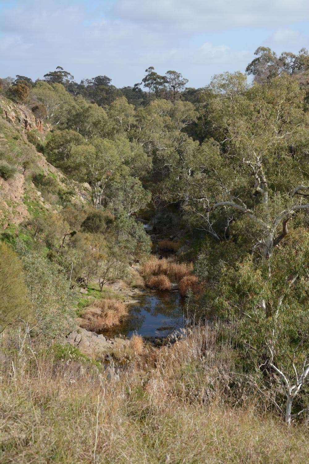 Random creek we came across
