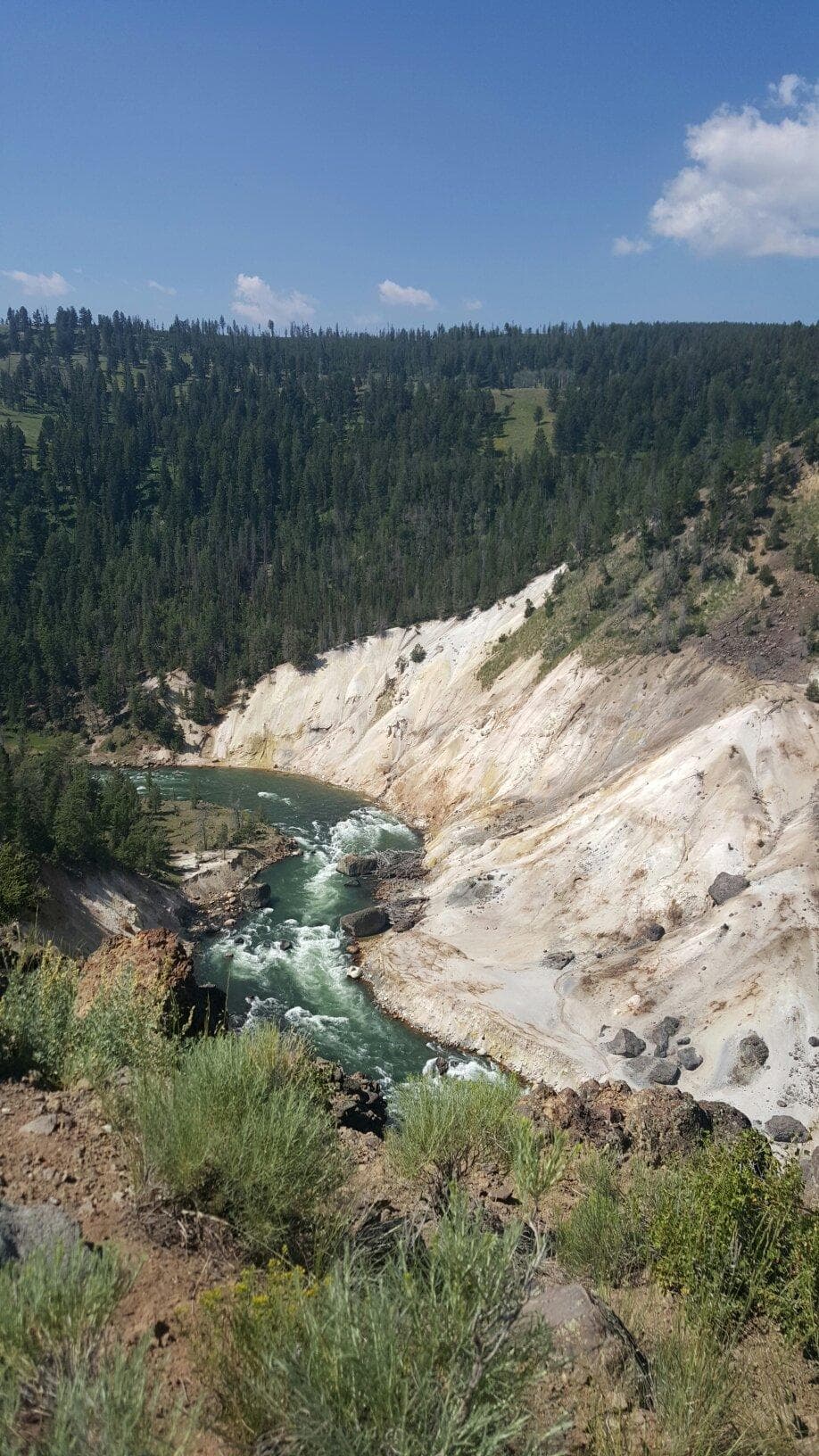 Yellowstone River Picnic Area
