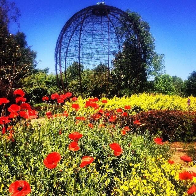 Botanical Garden of the Ozarks
