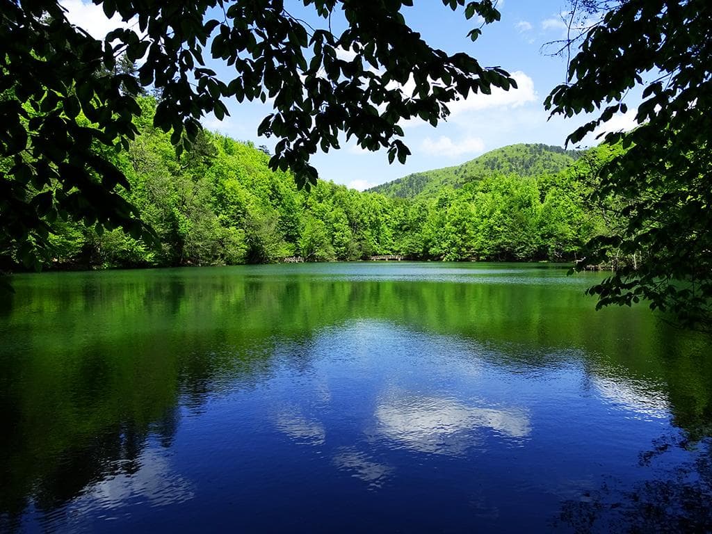 Yedigöller Büyükgöl