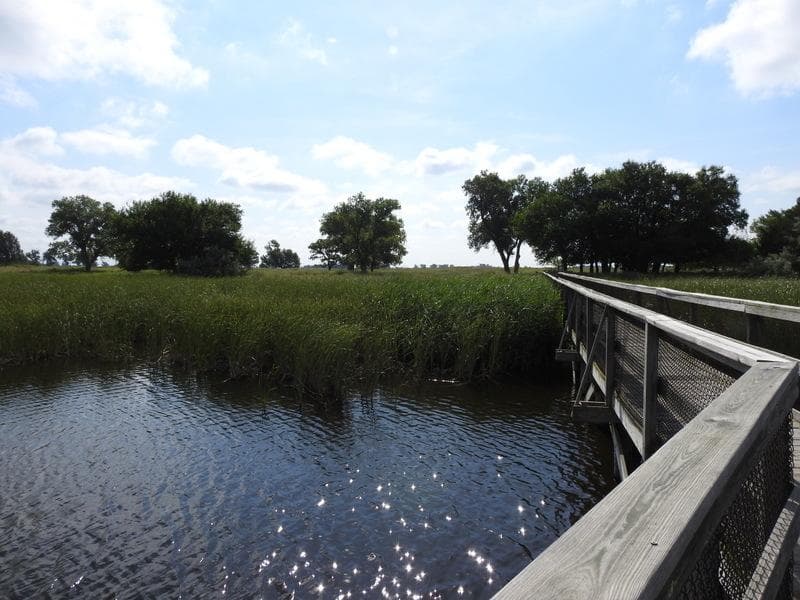 Boardwalk - Migrant's mile