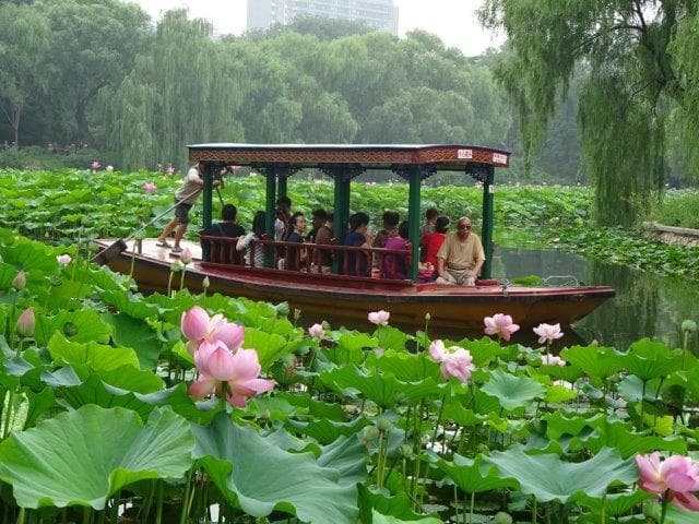 紫竹院公園