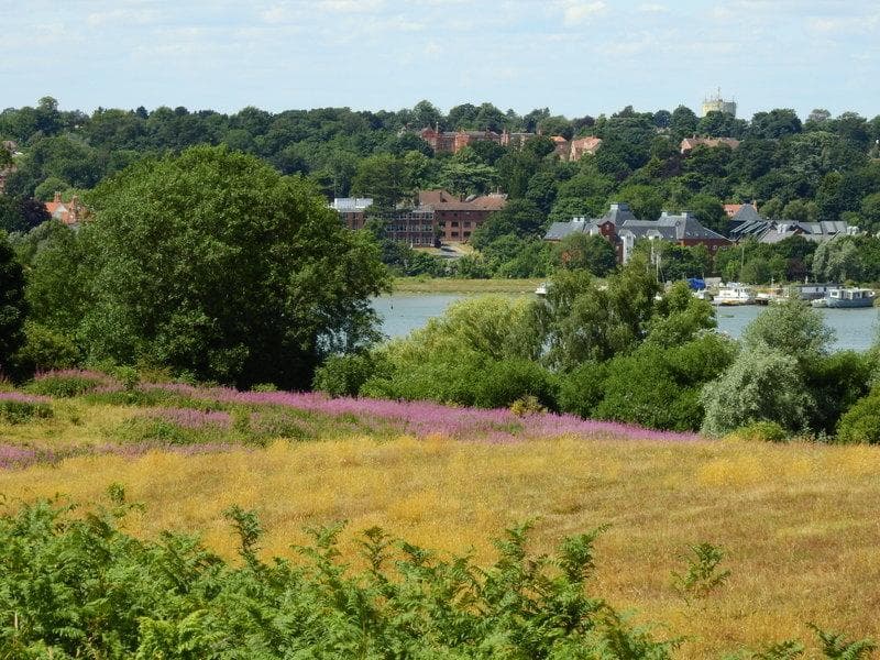 View from trail