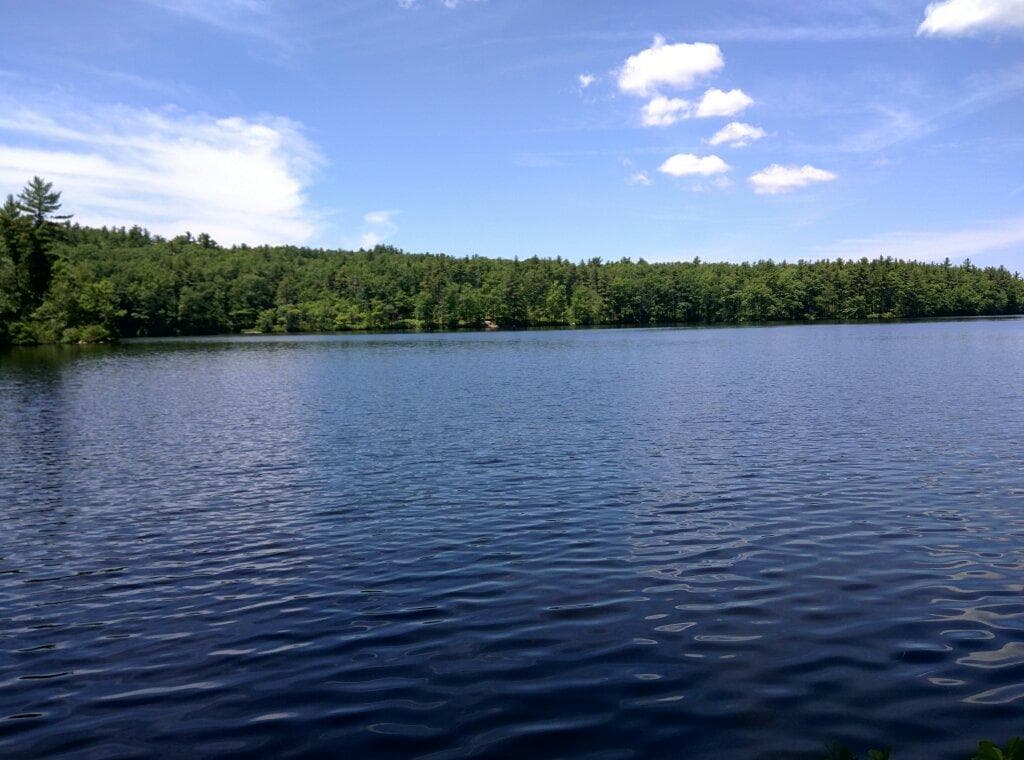 Massabesic Audubon Center