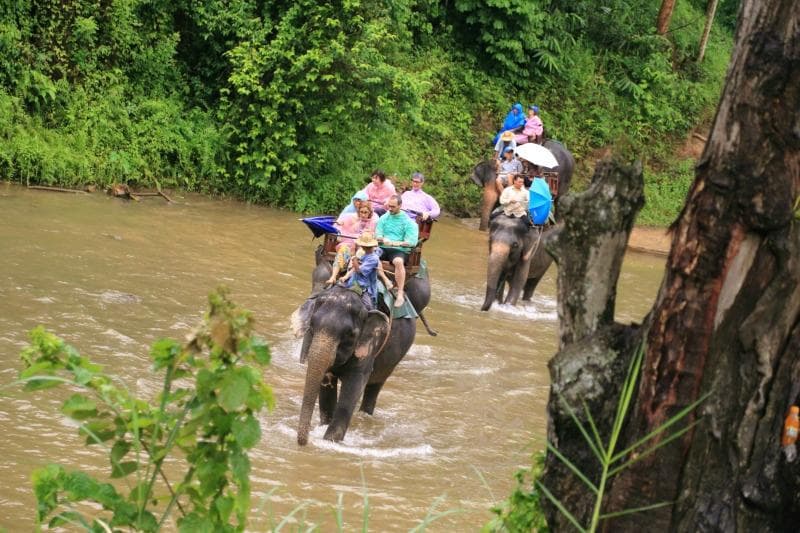 象乗り体験（川渡り）