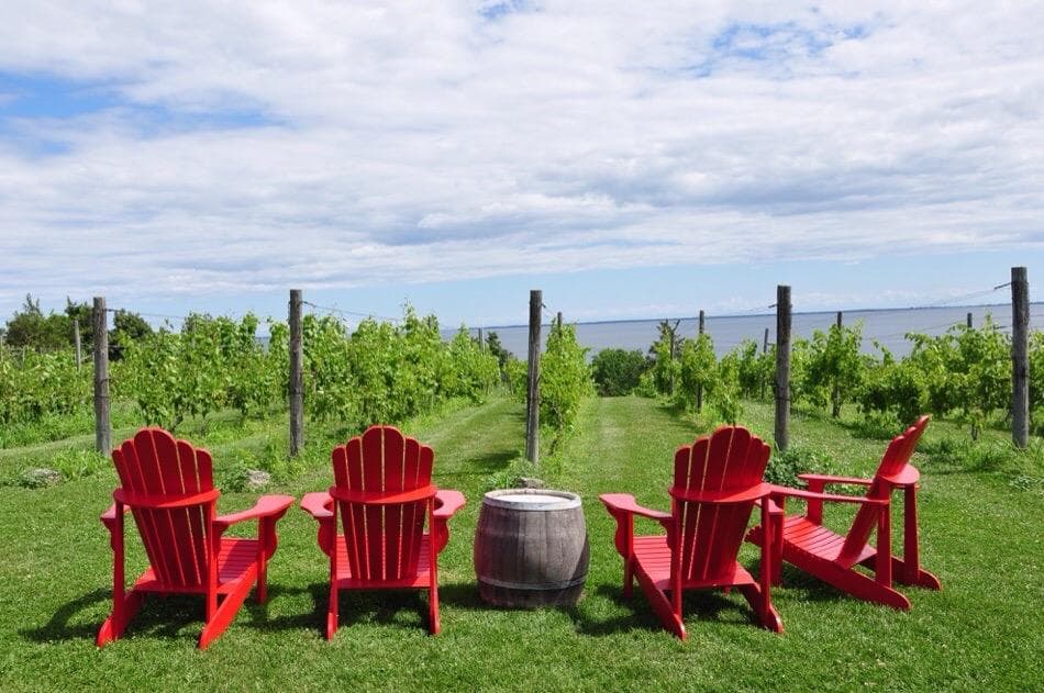 The County Cider Company Waupoos