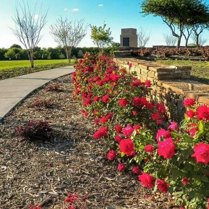 Frisco Commons Park