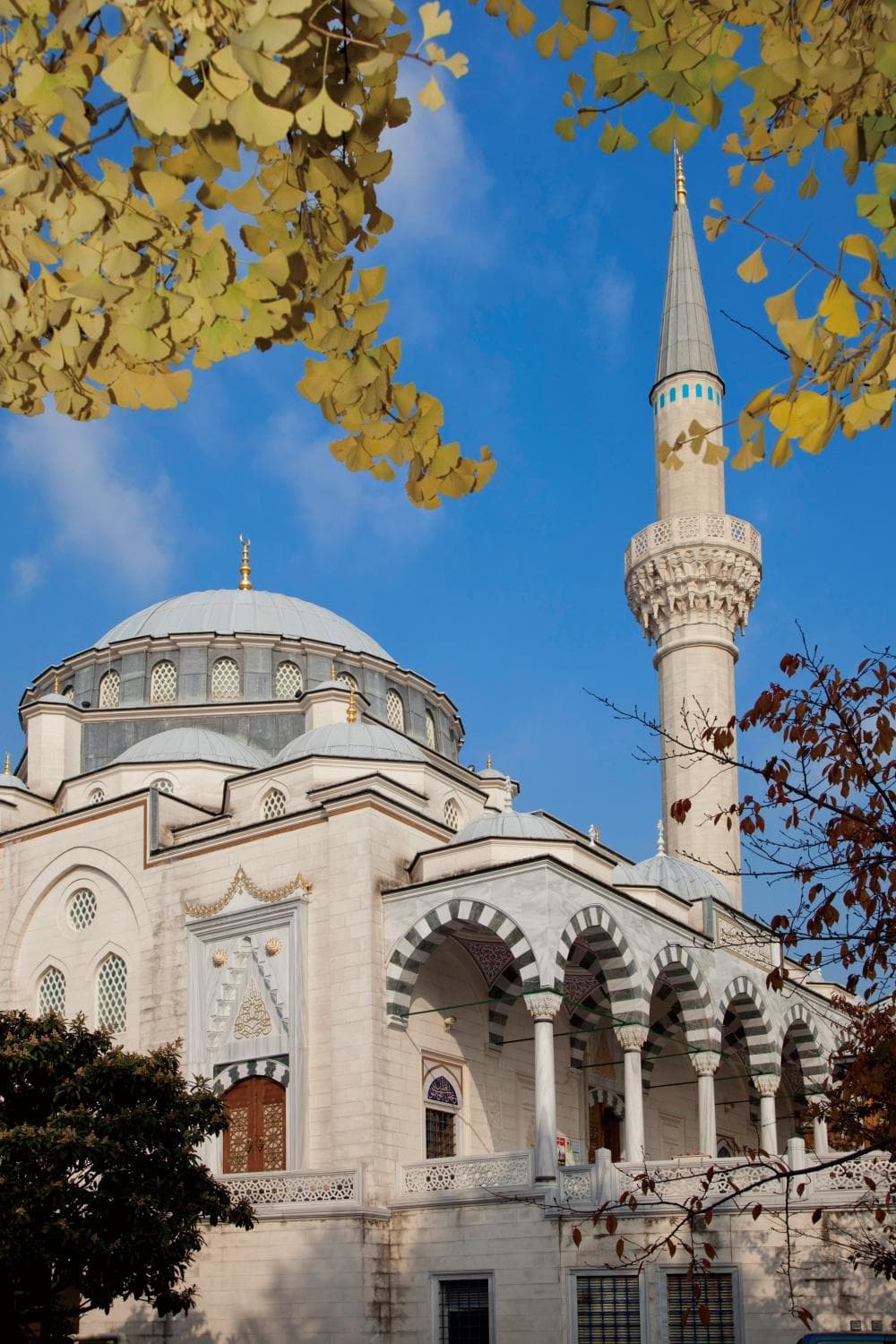 Tokyo CAMii