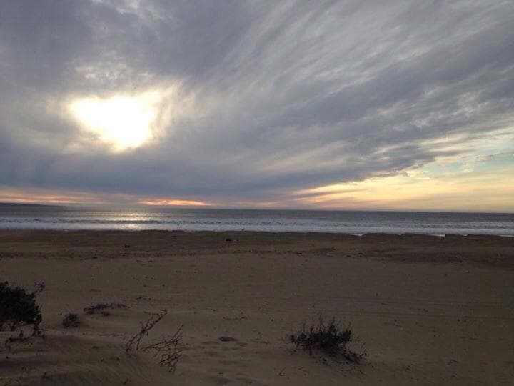 Tongoy Wetlands Pachingo and Salinas Chica