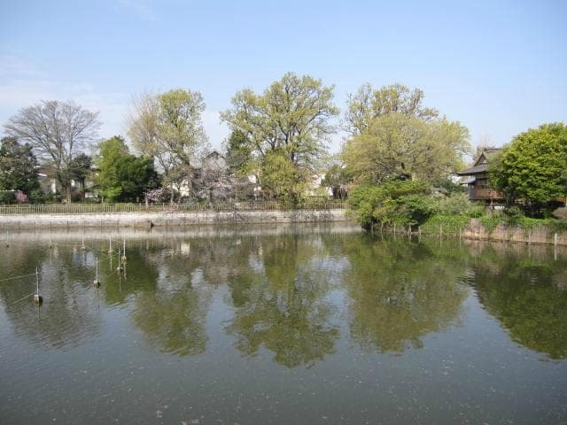 大きな池もあります