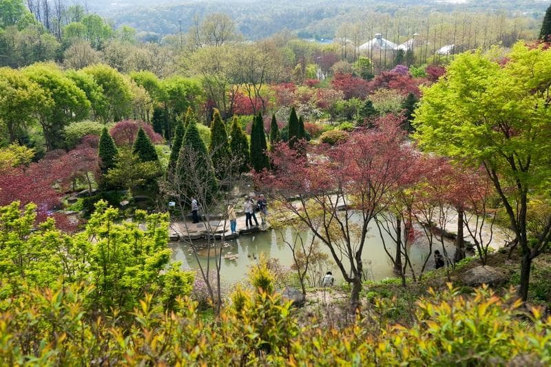 용인 한택식물원 전경