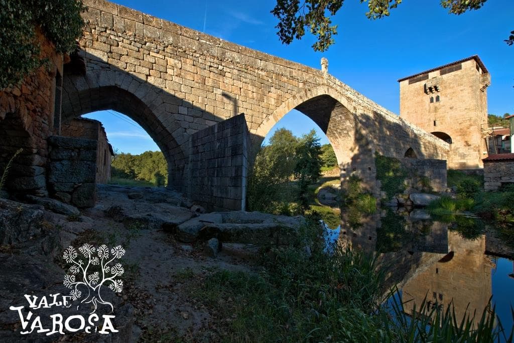 Ponte