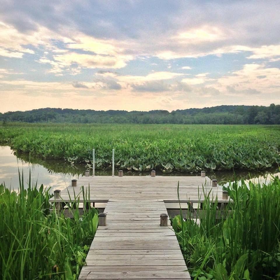 Chris Swarth Boardwalk at the Glendening Nature Preserve