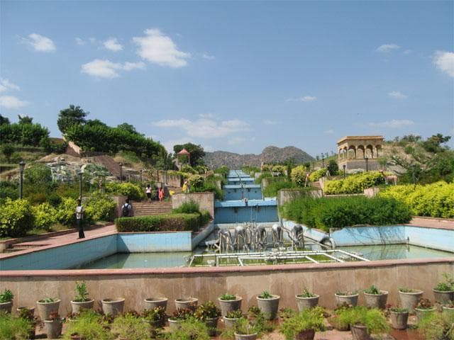 the park