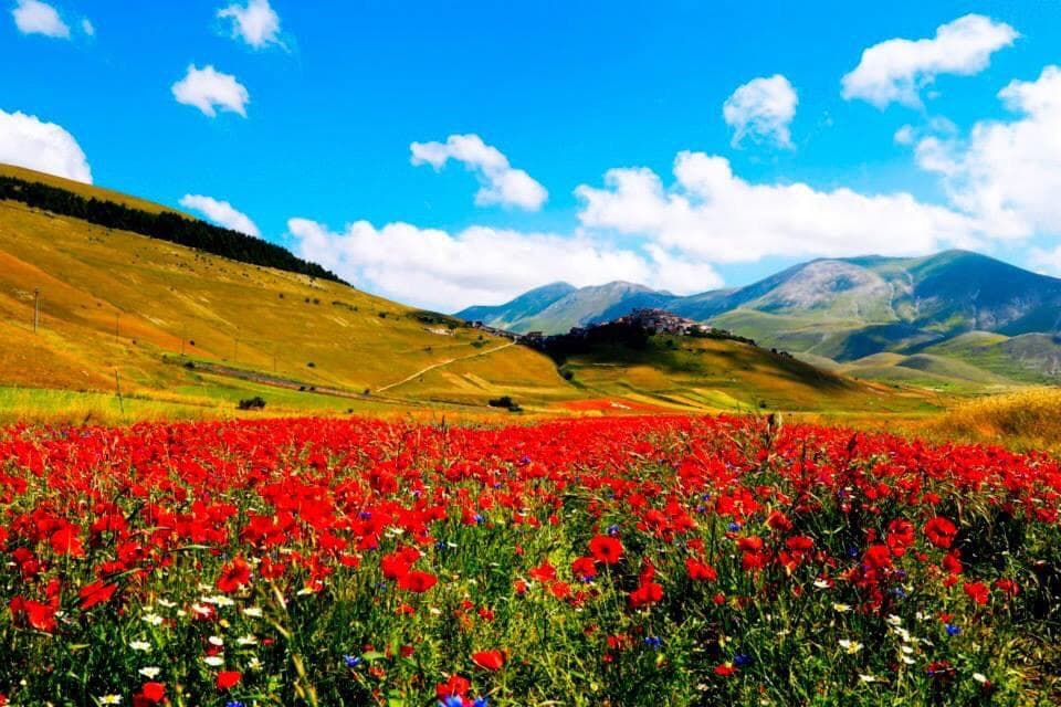 Piano Grande Castelluccio