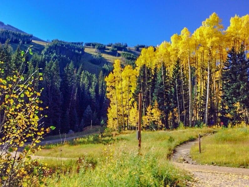 Beaver Lake Loop Trail