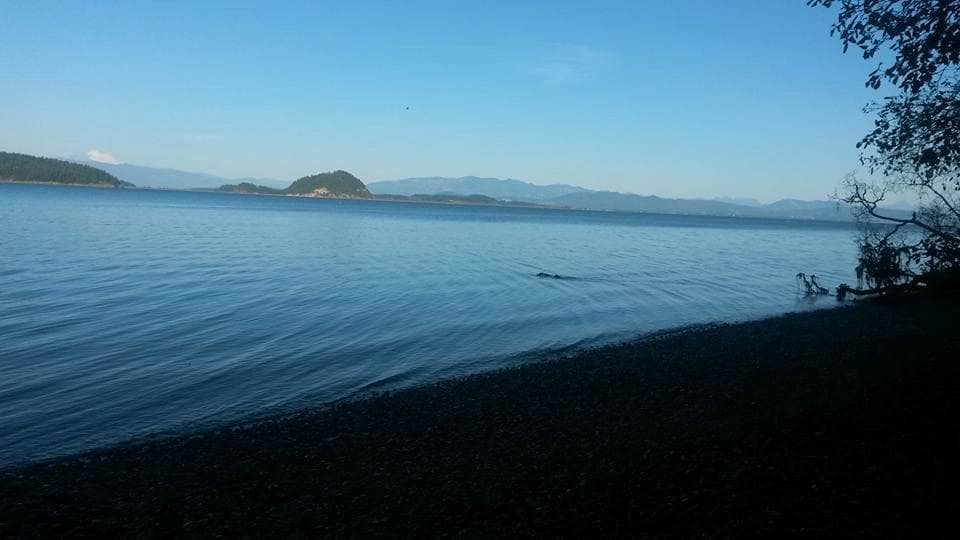 End of beach trail.