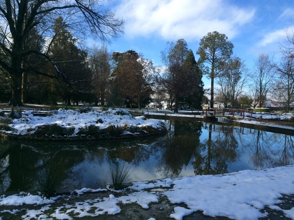 Winter