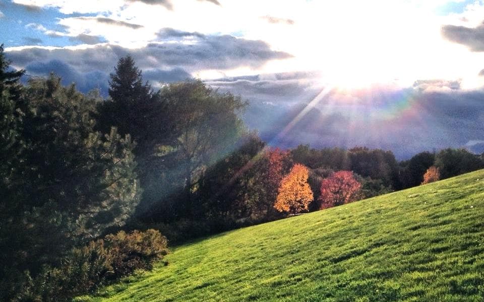 Newmmarket area in early Autumn