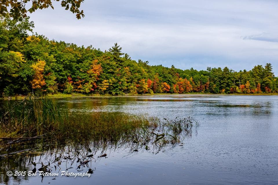 Livingston Park Manchester New Hampshire