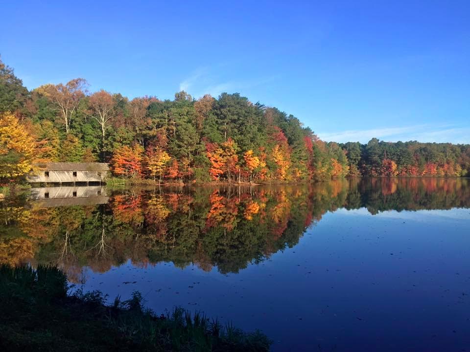 Fall Foliage on the Madison County Nature Trail