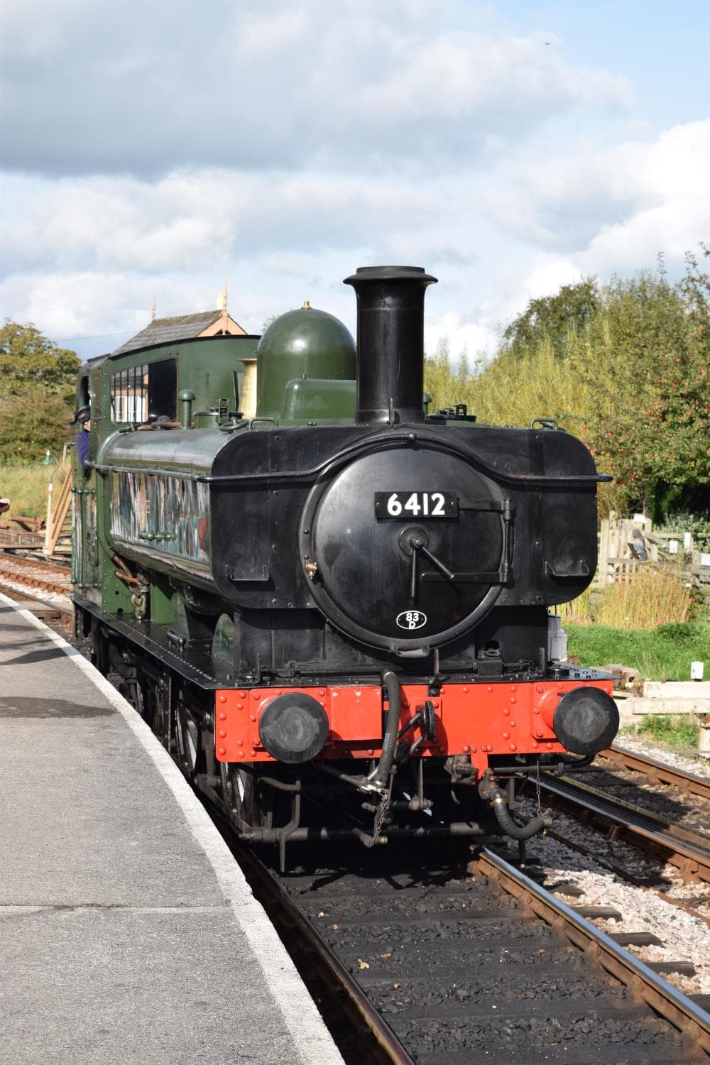 Totnes Rare Breeds Farm