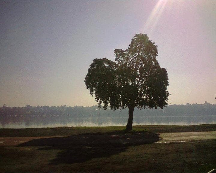 The water at the back of Callan Park