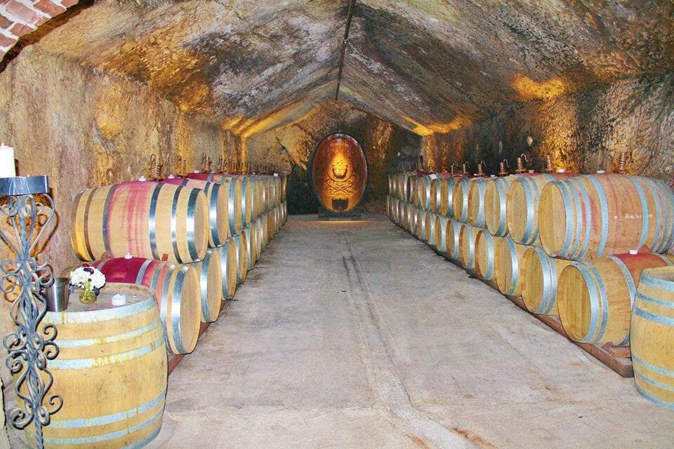 Buena Vista Winery
