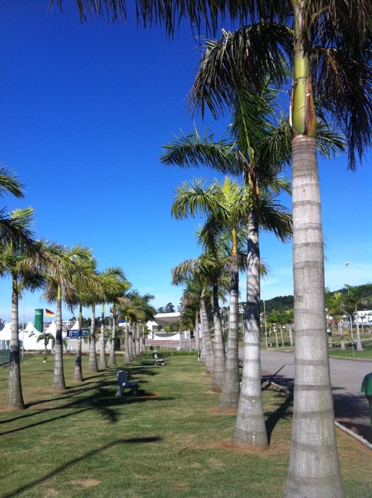Parque das Nações Criciúma