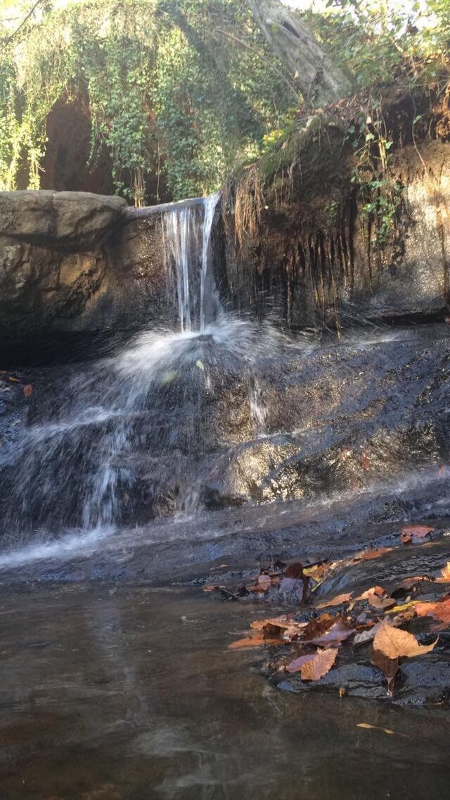 Cascade Springs Nature Preserve