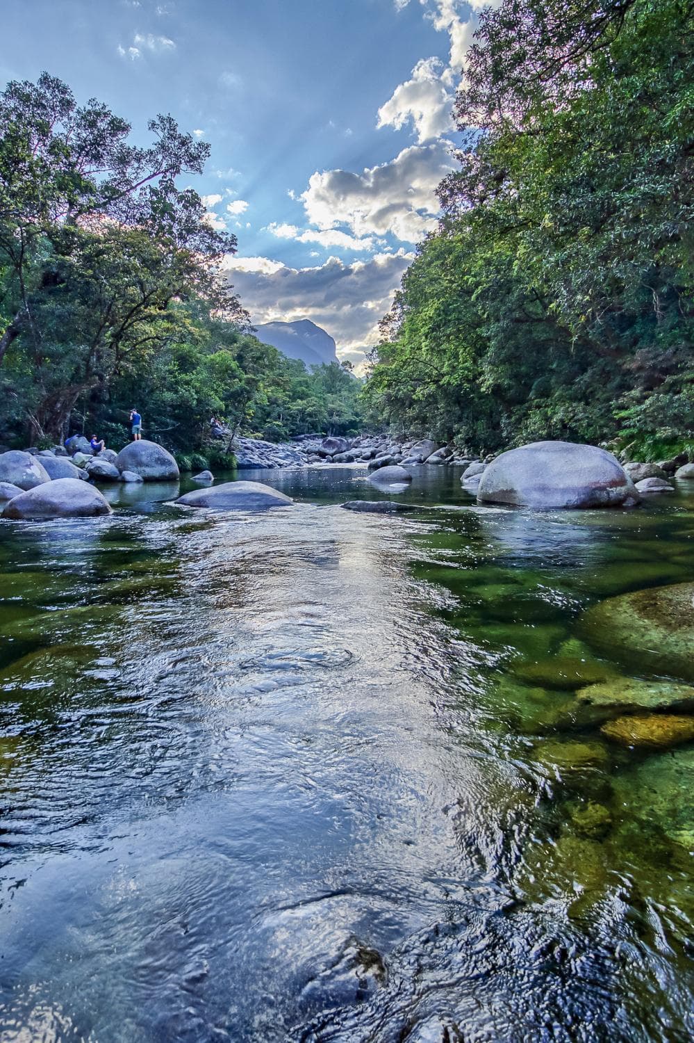 Mossman Gorge
