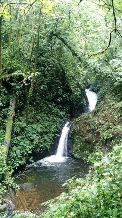 Waterfall