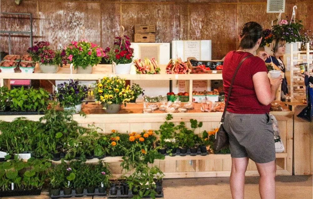 photo credit to Sheri Minardi Photography