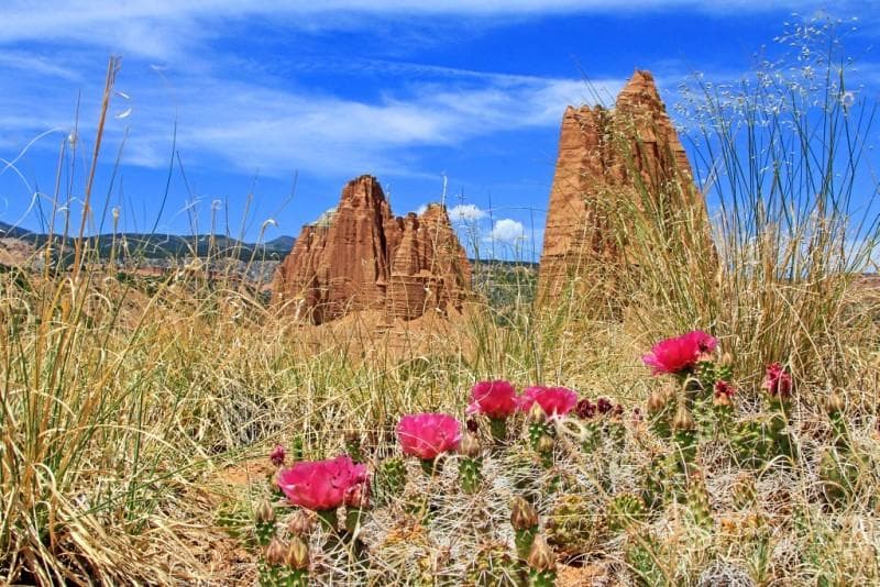 The Cathedrals